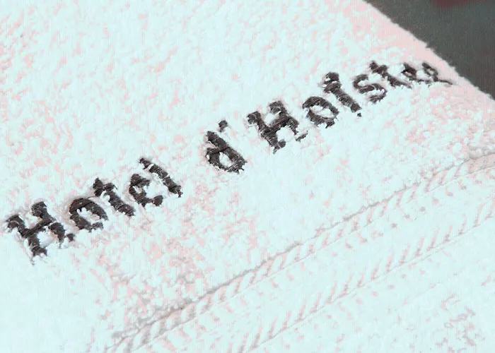 Hotel Restaurant D'hofstee 2*